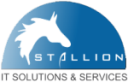 STALLION IT SOLUTIONS & SERVICES